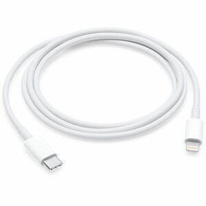 Apple Lightning naar USB-C kabel origineel (1 m)