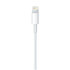 Lightning-naar-USB-kabel origineel (2 m)_