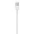 Lightning-naar-USB-kabel origineel (2 m)_
