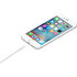 Apple Lightning-naar-USB-kabel (0.5 m)_